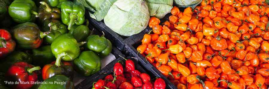 legumes-vegetables-verduras